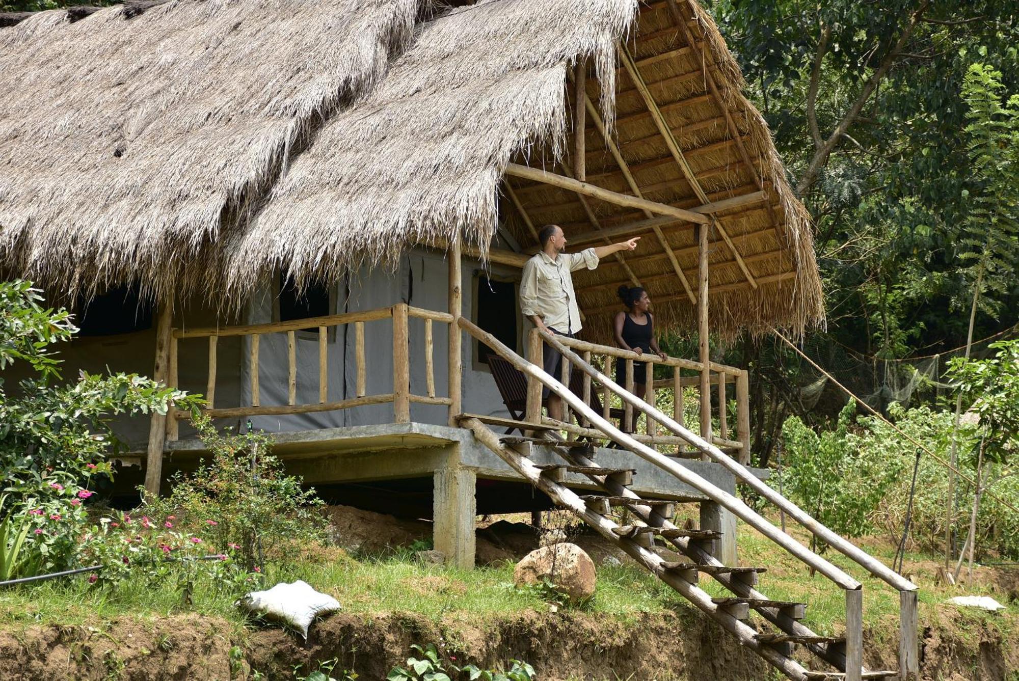 Ella Jungle Resort Exteriör bild