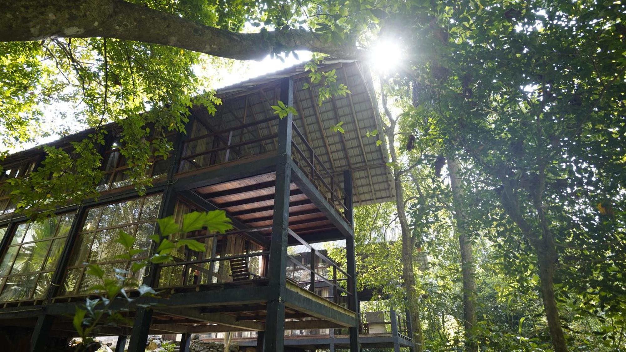 Ella Jungle Resort Exteriör bild