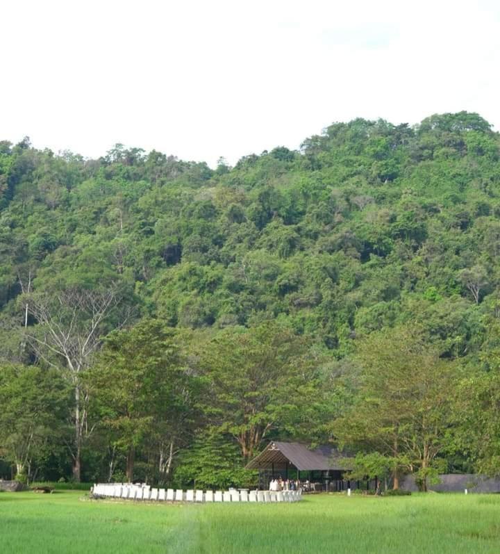 Ella Jungle Resort Exteriör bild