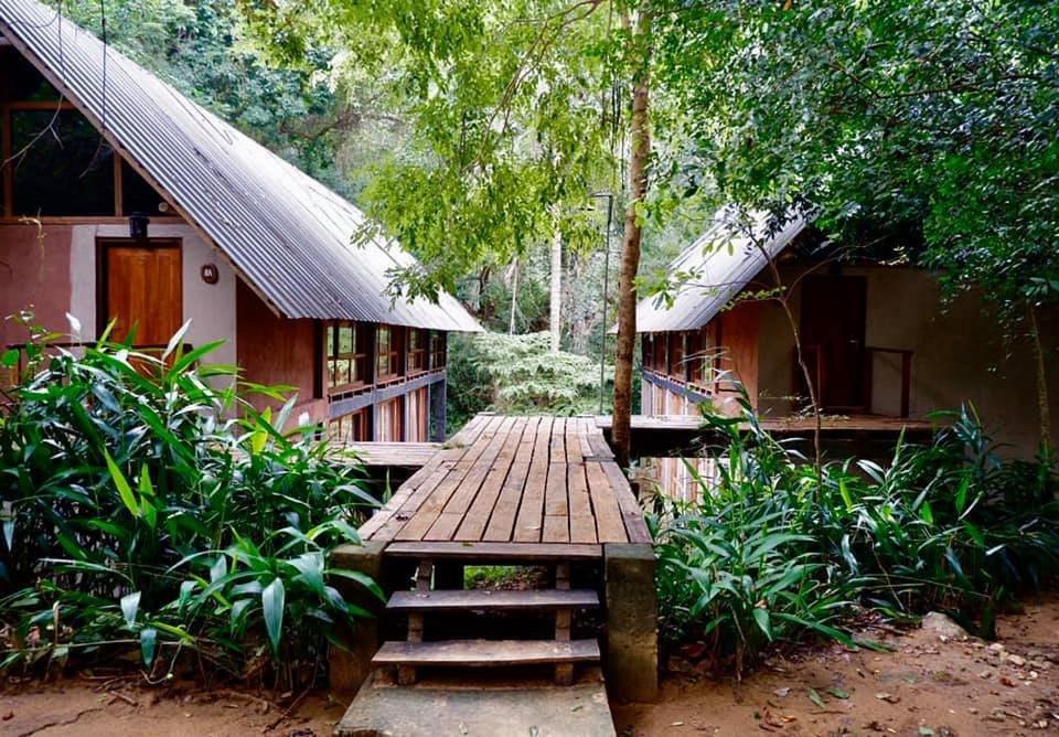 Ella Jungle Resort Rum bild