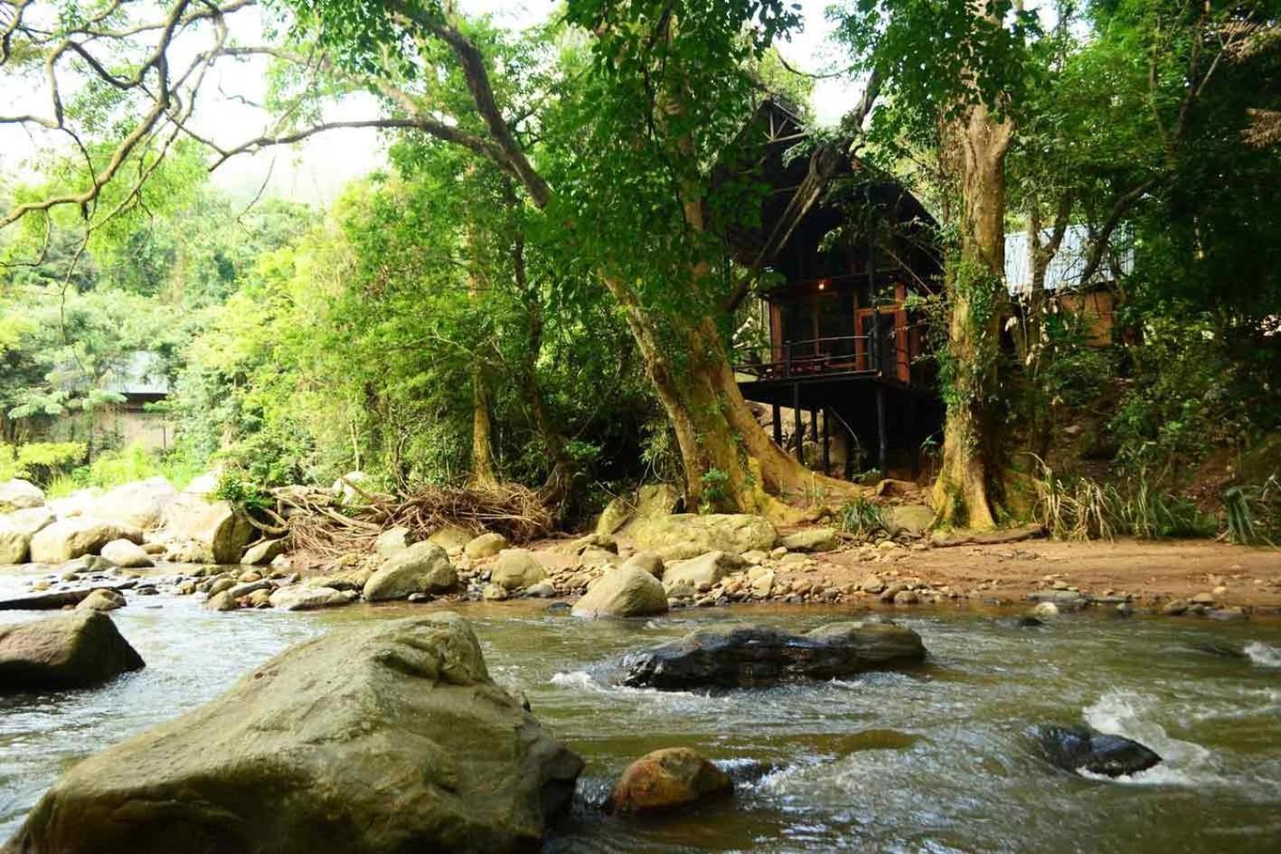 Ella Jungle Resort Rum bild